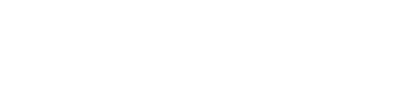 Spectrum Business Solutions